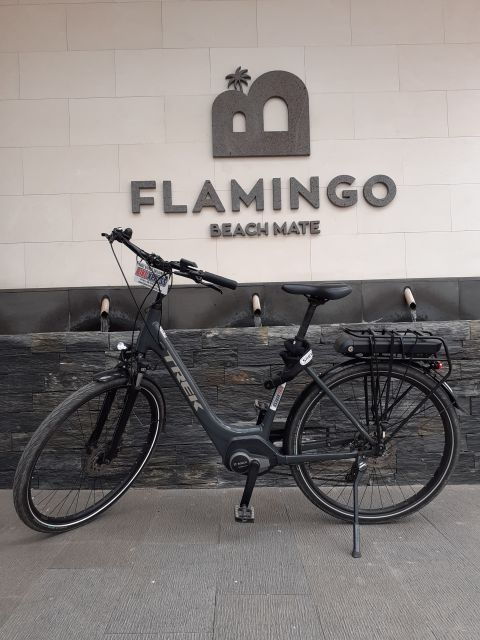 Electric City Bike Rental With Hotel Delivery - Inclusions and Highlights