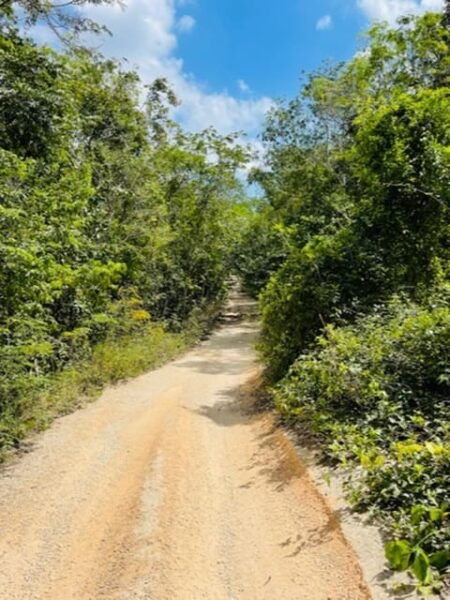 Electric Fatbike Ecological Tour in the Mayan Lands - Frequently Asked Questions