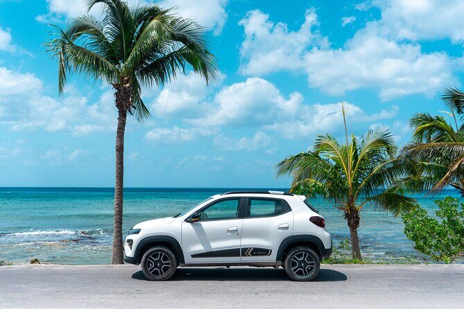 Electric Island Tour with Snorkel, Picnic and Otoch Mayan Experience - Discover Cozumel in a Sustainable Way