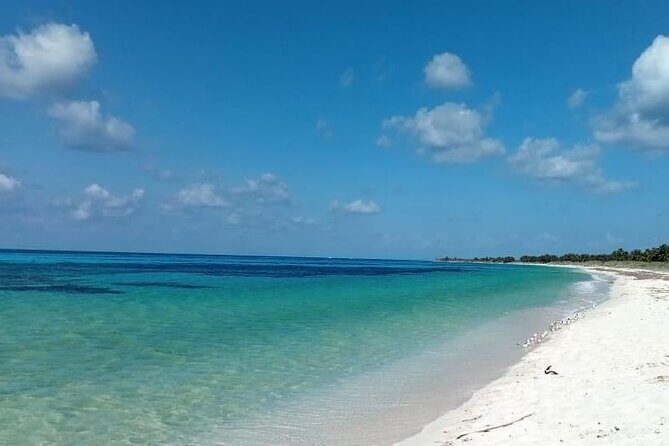 Electric Island Tour with Snorkel, Picnic and Otoch Mayan Experience - Practical Details and Tips