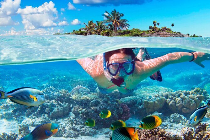 Electric Island Tour with Snorkel, Picnic and Otoch Mayan Experience - Who Will Love This Tour?
