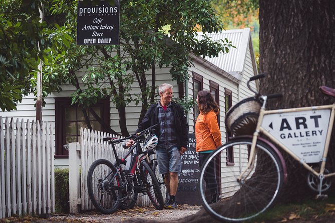 Electric Mountain Bike Hire on Queenstown Trail - Overview of Electric Mountain Bike Hire