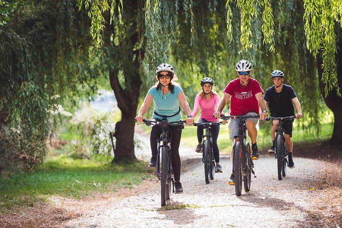 Electric Mountain Bike Hire on Queenstown Trail - The Sum Up