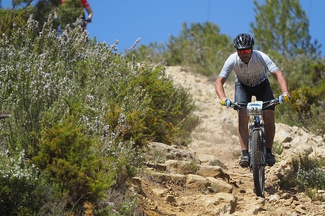 Electric Mountain Bike in Mallorca - The Sum Up