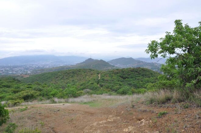 Electric Mountain Bike in Oaxaca - Customer Feedback