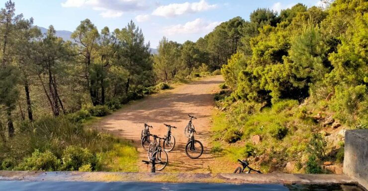 Electric Mountain Bike in Sierra De Las Nieves National Park - Tour Highlights