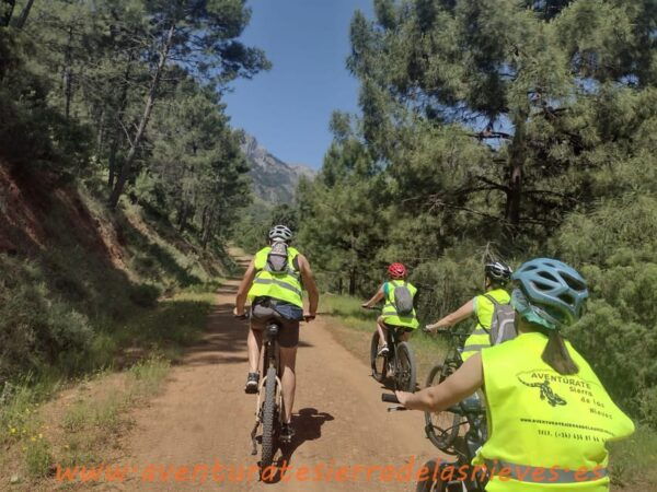 Electric Mountain Bike in Sierra De Las Nieves National Park - About the National Park