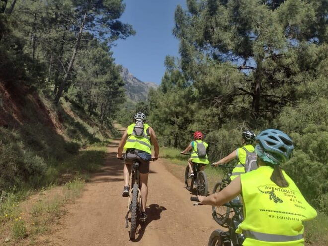 Electric Mountain Bike in Sierra De Las Nieves National Park - Participant Restrictions