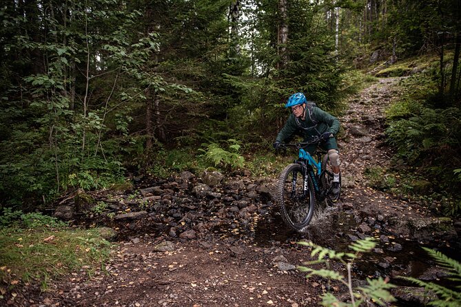 Electric Mountain Bike Ride on Single Track Trails in Oslo - What To Expect