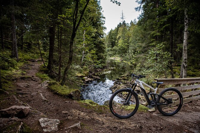 Electric Mountain Bike Ride on Single Track Trails in Oslo - Pricing and Guarantee
