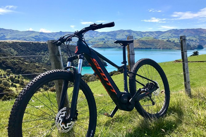 Electric Mountain Bike & Sea Kayak Tour in Akaroa - Reviews