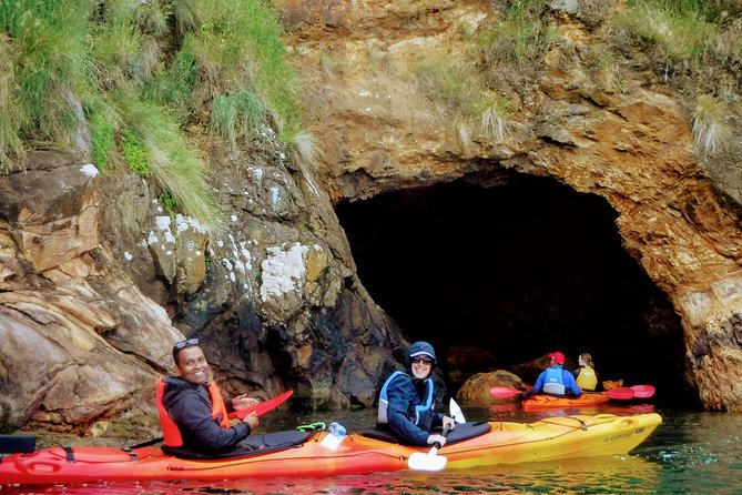 Electric Mountain Bike & Sea Kayak Tour in Akaroa - Additional Information