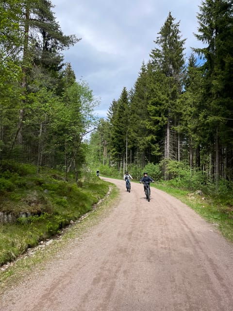 Electric Mountain Bike Tour in the Forest of Oslo - Inclusions