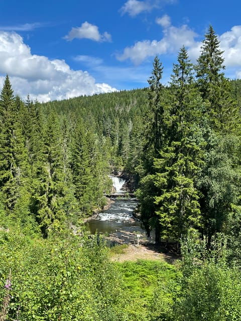 Electric Mountain Bike Tour in the Forest of Oslo - Exploring the Forest