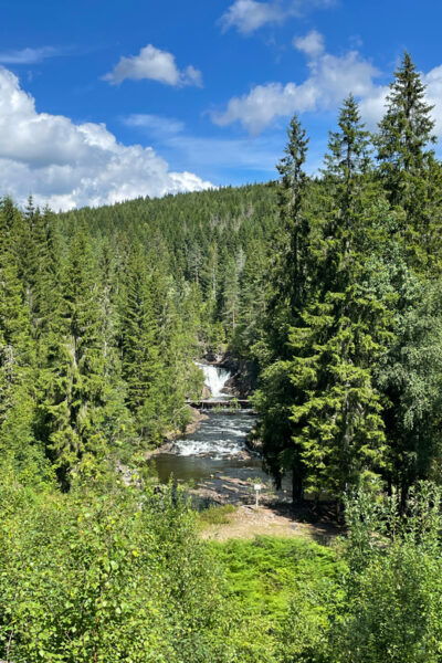 Electric Mountain Bike Tour in the Forest of Oslo - Scenic Wonders