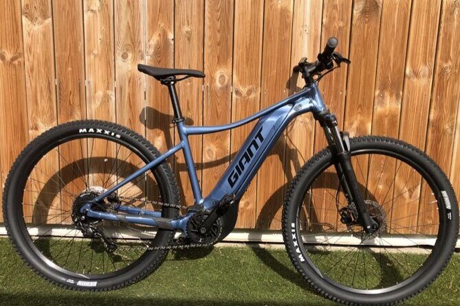 Electric Mountainbike Rental in Bonaire - The Real Experience: What Travelers Say