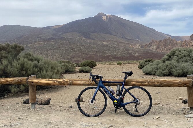 Electric Olmo E-bro 2.0 E-race Bike 500W Rental in Tenerife - Common Questions