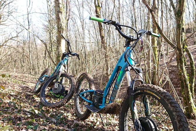 Electric Scooter Ride in the West of Lyon - Logistics and Transportation