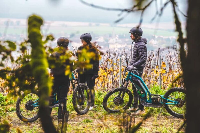 Electric scooter tour and wine tasting at Château de Chamirey - Good To Know