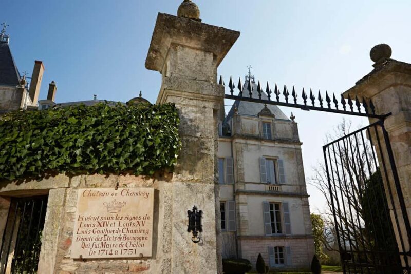 Electric scooter tour and wine tasting at Château de Chamirey - Final Thoughts