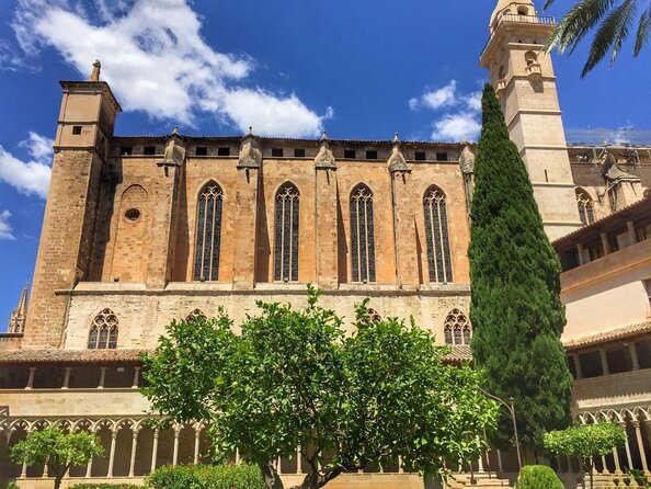 Electric Scooter Tour in Palma De Mallorca - The Sum Up