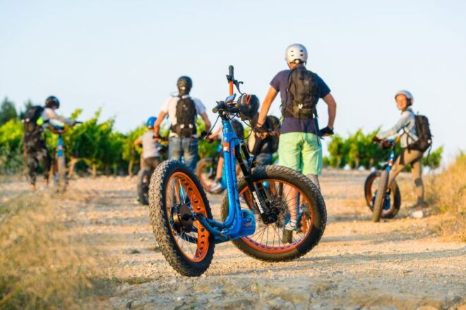 Electric Scooter Tour of Our Vineyard and Wine Tasting - Booking and Location