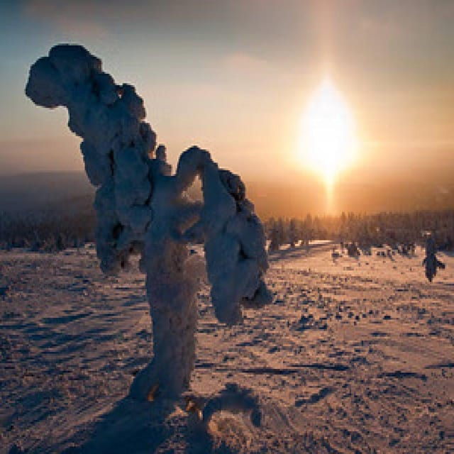 Electric Snow Scooters Tour in Saariselkä (2hr) - Highlights of the Experience