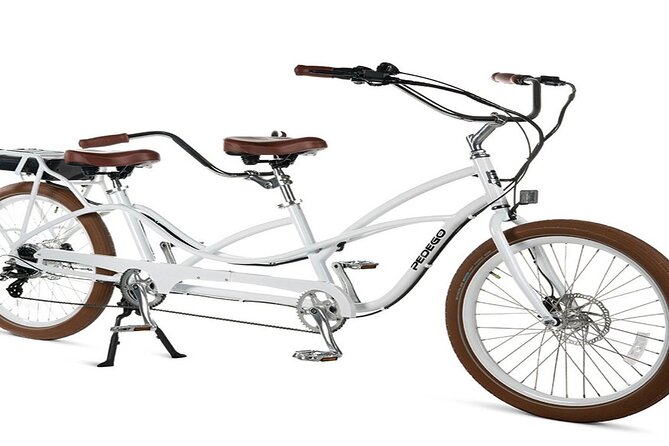 Electric Tandem Bike Rental in South Beach - Rental Pricing and Booking Details