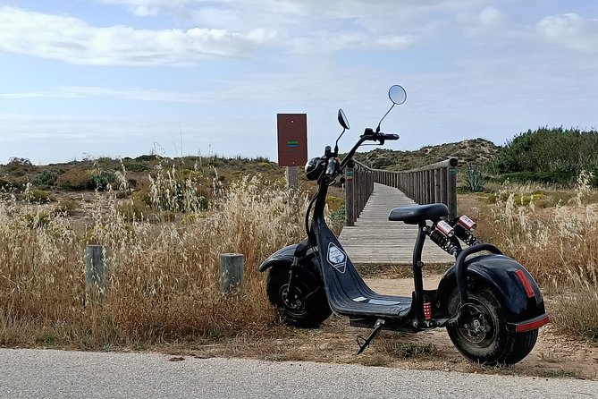 Electric Trotibike Rental - Safety Measures