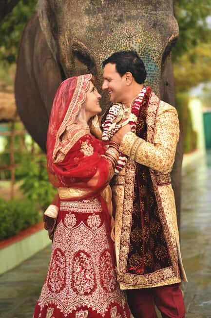 Elefantastic Elephant Sanctuary Tour - What to Expect from the Elefantastic Sanctuary Tour