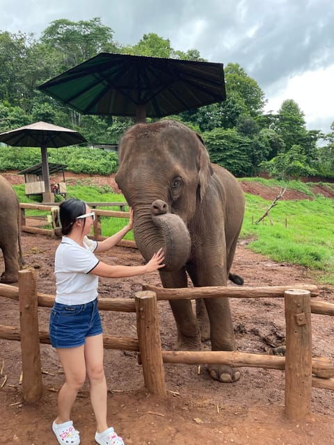 Elefin Farm & Cafe Half-Day Tour With Private Car - Inclusions of the Tour