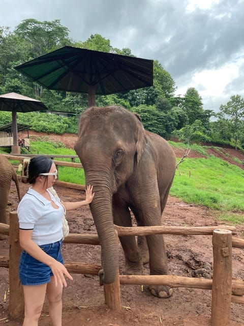 Elefin Farm & Cafe Half-Day Tour With Private Car - Restrictions and Considerations