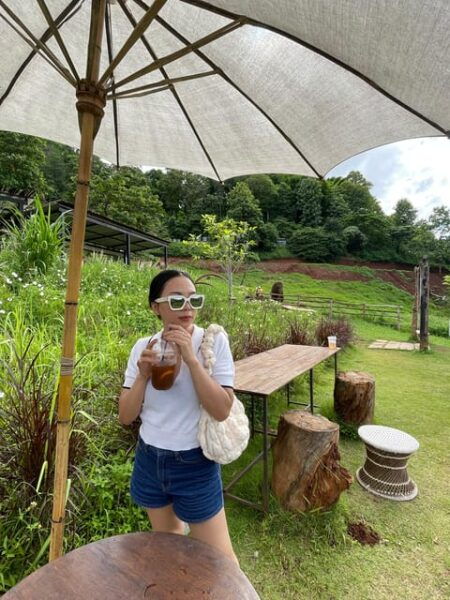 Elefin Farm & Cafe Half-Day Tour With Private Car - Customer Reviews and Feedback