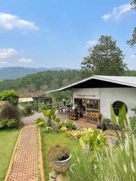 Elefin Farm & Cafe Half-Day Tour With Private Car - Questions You May Have