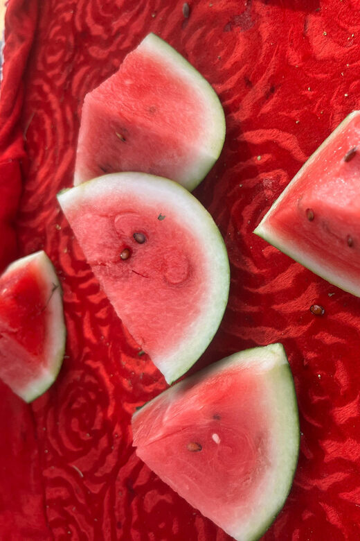 Elefun Best Elephant Sanctuary in Jaipur - Practical Tips for Visitors