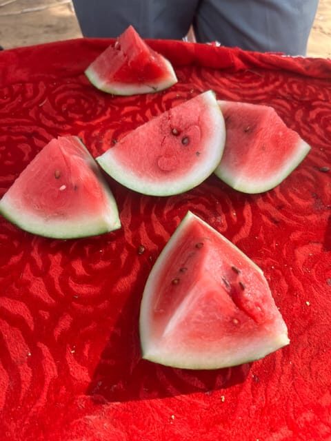 Elefun Best Elephant Sanctuary in Jaipur - Final Thoughts: Who Will Love This Tour?