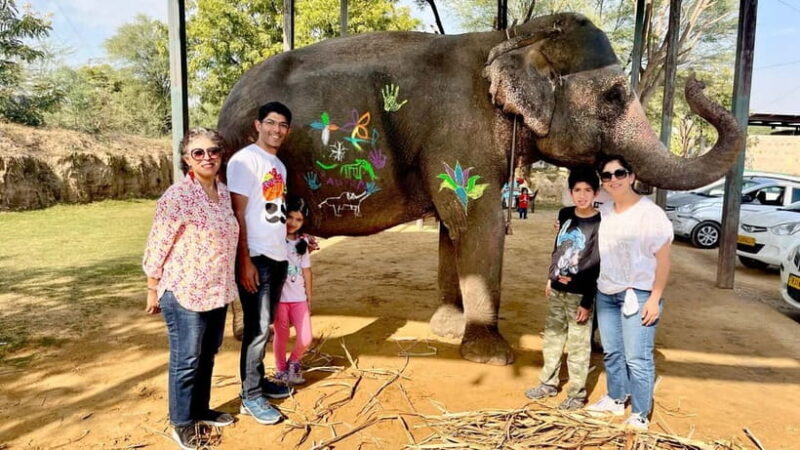 Elefun Best Elephant Sanctuary in Jaipur - FAQ