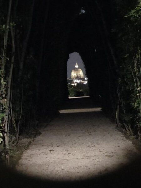 Elegant Rome by Night Tour and Dinner in a Local Restaurant - Frequently Asked Questions