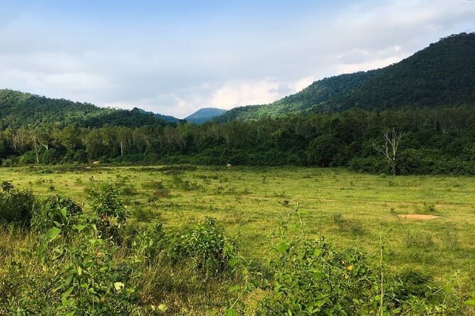 Elephant and Animal Watching in Kuiburi National Park - Join Afternoon Tour - Tour Details