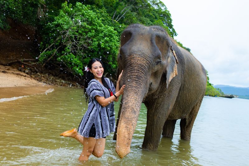 Elephant and Beach Experience at Phuket Siray Elephant Care Camp - A seaside setting near Phuket Old Town