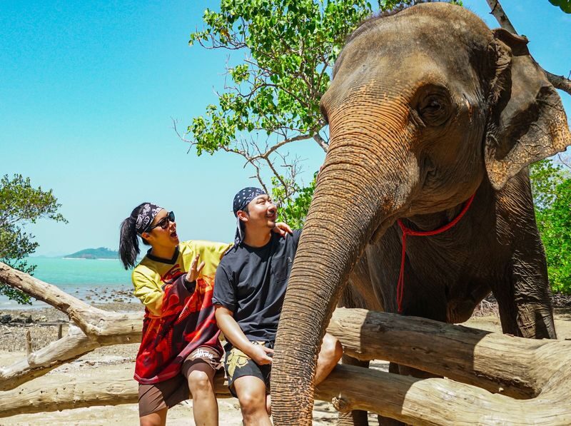 Elephant and Beach Experience at Phuket Siray Elephant Care Camp - Who will enjoy this visit most