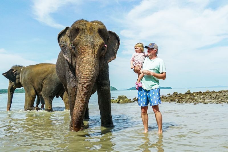 Elephant and Beach Experience at Phuket Siray Elephant Care Camp - Timing and getting there