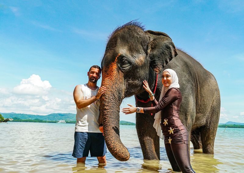 Elephant and Beach Experience at Phuket Siray Elephant Care Camp - Should you book Phuket Siray Elephant Care Camp?