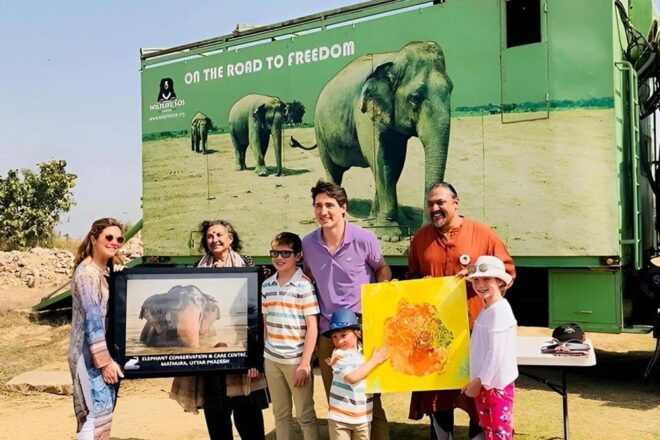 Elephant/Bear Wildlife SOS & Agra Trip by Car - Wildlife SOS Experience