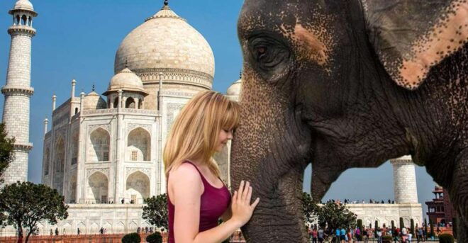 Elephant/Bear Wildlife SOS & Agra Trip by Car - Essential Packing List