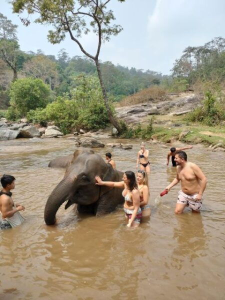 Elephant Care and Grand Canyon Jumping - Transportation and The Sum Up