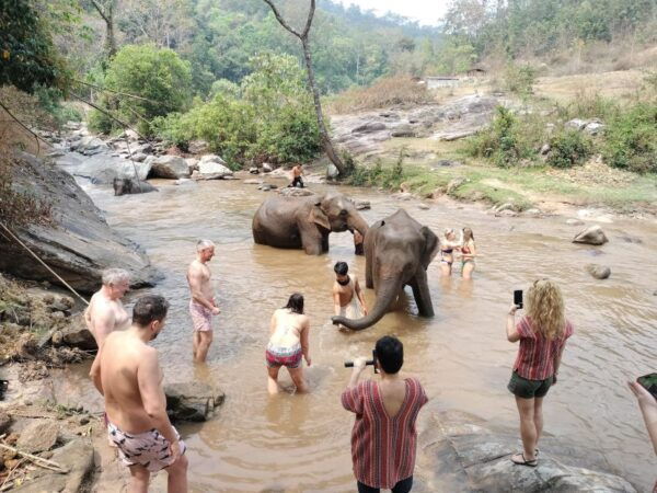 Elephant Care and Grand Canyon Jumping - The Sum Up