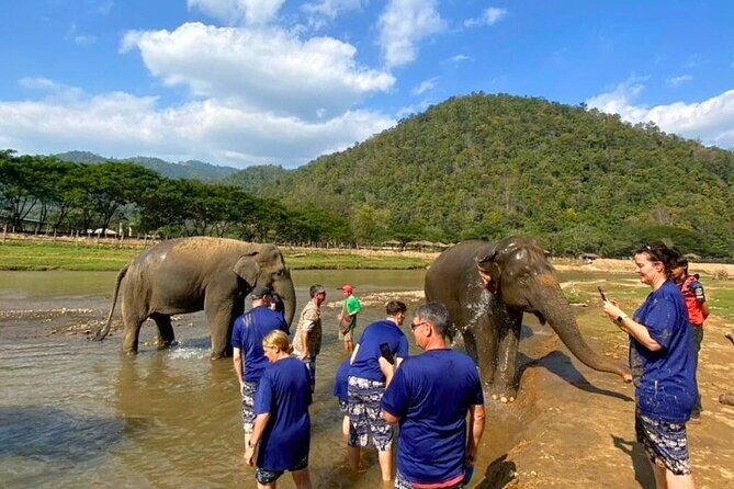 Elephant Care and Sticky Waterfalls (Bua Thong Waterfalls) Tour - A Closer Look at the Tour Experience
