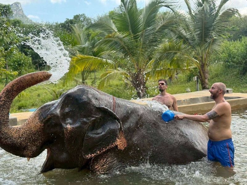 Elephant Care & ATV Jungle Adventure Experience in Krabi - What to know before you book