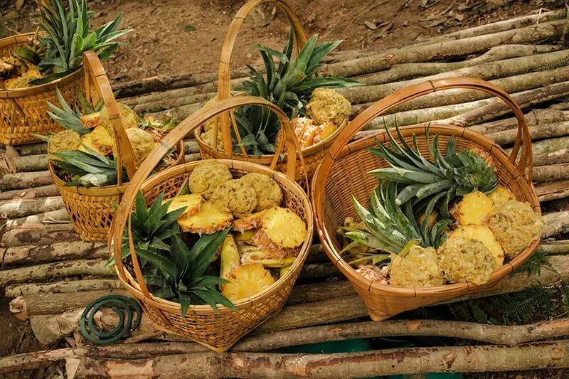 Elephant Care & ATV Jungle Adventure Experience in Krabi - Elephant bathing: a close encounter with limits